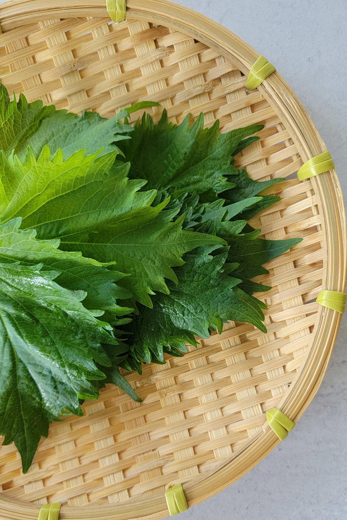 An image of a bunch of green shiso