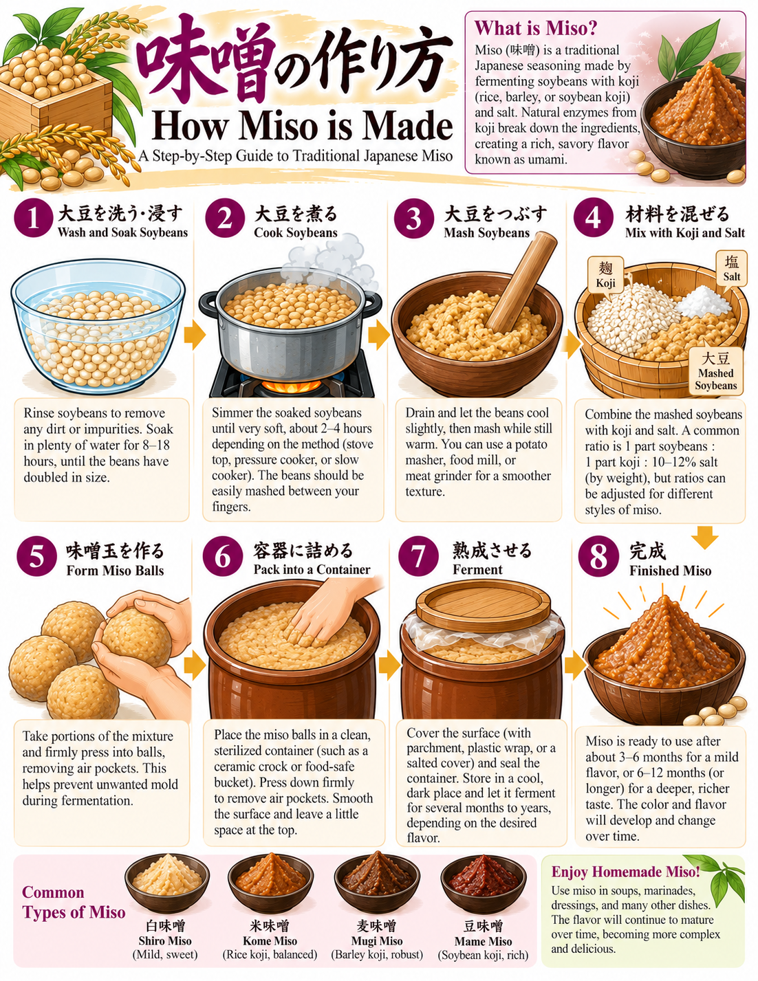 What is miso image