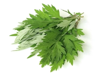 An image of a bunch of yomogi or Japanes mugwort